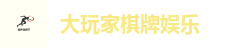大玩家棋牌